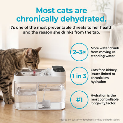 Tenace HydroPurr™