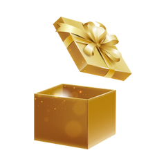 Surprise Gift
