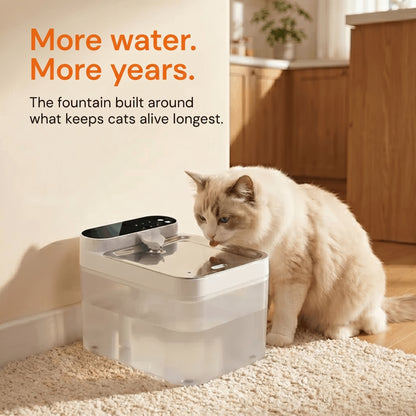 Tenace Clear Flow